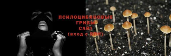 mix Богородск