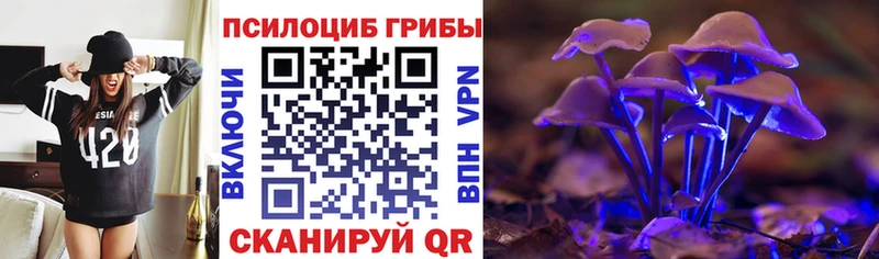 Псилоцибиновые грибы ЛСД  как найти наркотики  Короча 